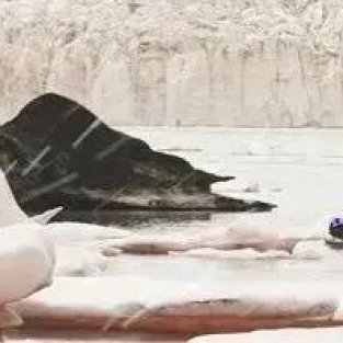 冬至 | 冬至大如年，人间共团圆